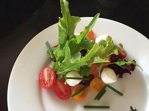 Tomato and oakleaf salad 