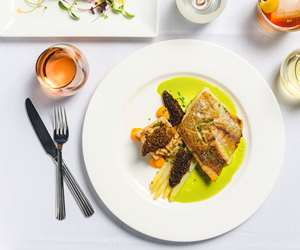 Golden Bass, White Asparagus, Morels, Cumin Pearl Barley, Parsley Sauce. Photo by Winter Caplanson, New England And Farm