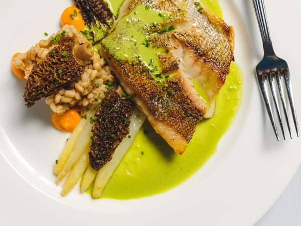 Golden Bass, White Asparagus, Morels, Cumin Pearl Barley, Parsley Sauce. Photo by Winter Caplanson, New England And Farm