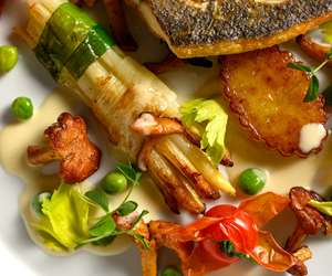 Details of pan seared bronzino Dish