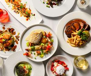 Samples of spring dishes